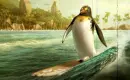 surf's up