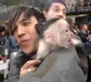 pete wentz