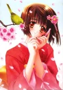 Sakura Blossom Breeze