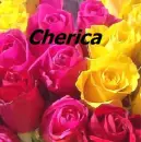 Cherica 