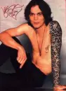 ville valo
