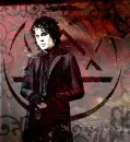 ville valo