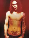 ville valo