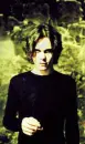 ville valo
