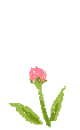 cute kawaii heart flower growing