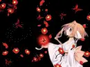 Butterfly Fall