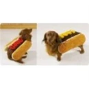 winnie dog 