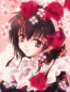 Red Roses