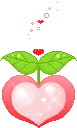 apple heart