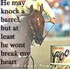 barrelracing horse
