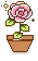 Pretty Rose