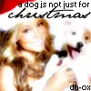 mariah christmas