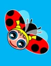 ladybird