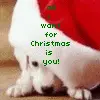 all i want for christmas is you