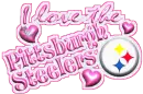 I love the pittsburgh steelers