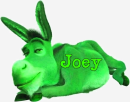 Donkey! -joey...request