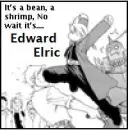 Full metal alchemist