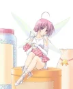 fairy