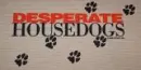 Desperate Housedogs