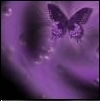 purple butterfly