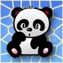 panda bear 