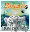 Ronnie