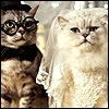 Bride & Groom
