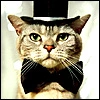 Groom