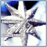 christmas/winter avatar