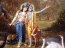 lord krishna 