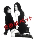 kimi wa petto j-drama