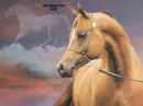 rip rick