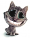 cute cat!