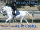 It's Not As Easy As It Looks by, Ashleigh Miller