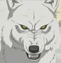 don't hurt me Kiba