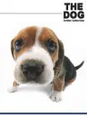 cute dog