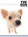 cute dog