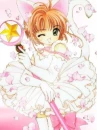sakura