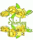 Shirley