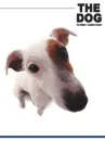 cute dog