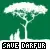 Save Darfur