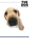 cute dog