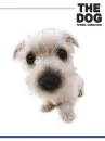 cute dog