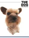 cute dog