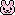 tiny bunny