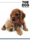 cute dog