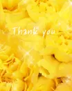 thank you yellow flowers