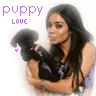 Puppy Love