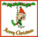 Swinging Elf