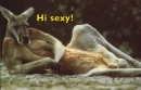 hey